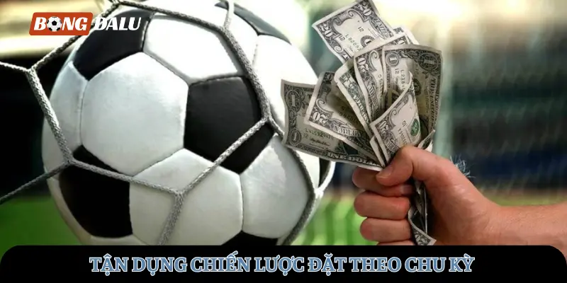 Tận dụng chiến lược đặt theo chu kỳ để tối ưu lợi nhuận