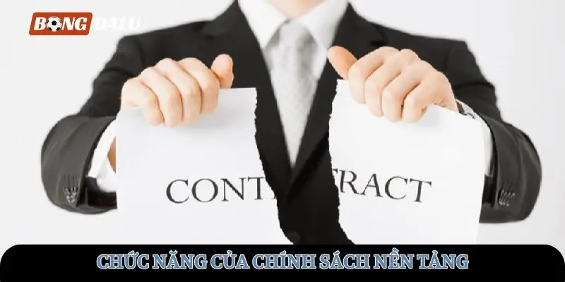 Chức năng của chính sách nền tảng