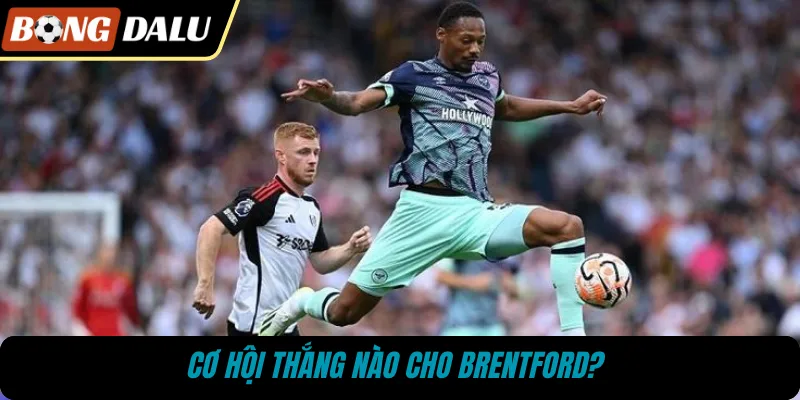 Cơ hội thắng nào cho Brentford? 