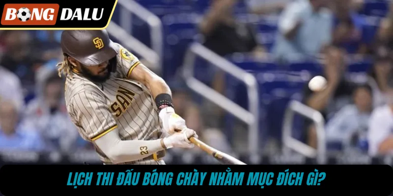 Lịch thi đấu bóng chày nhằm mục đích gì?