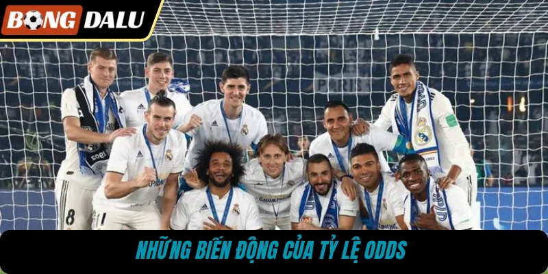 Những biến động của tỷ lệ odds 